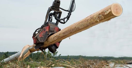Barre del rullo di alimentazione